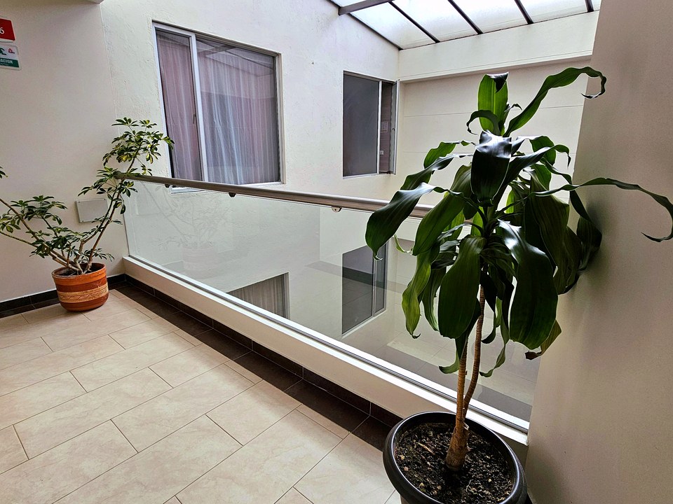 Zona común interior del Hotel Avanty con plantas y claraboya
